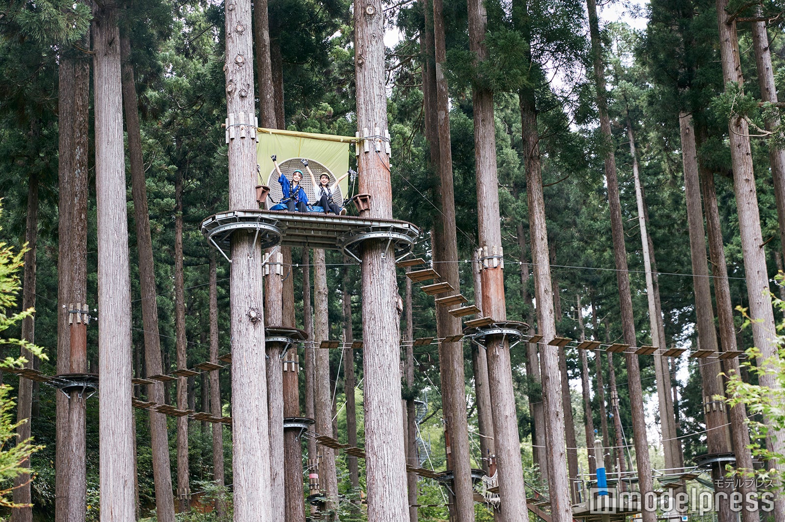 樹の上には絶景を楽しめるソファ席やハンモックが（C）モデルプレス