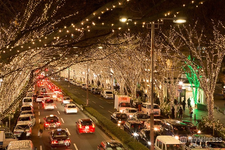 黄金色の華やかイルミがライトアップ 表参道がXmasムードに／画像提供：商店街振興組合原宿表参道欅会
