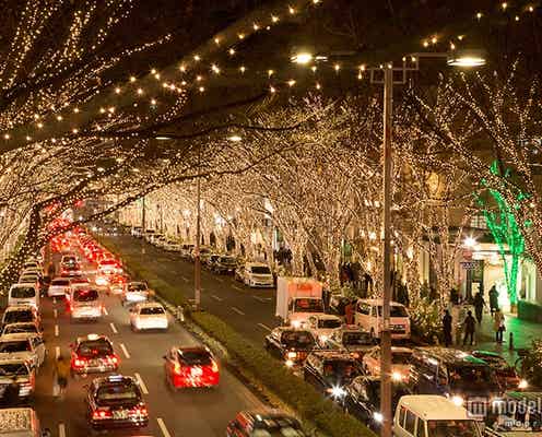 黄金色の華やかイルミがライトアップ 表参道がXmasムードに