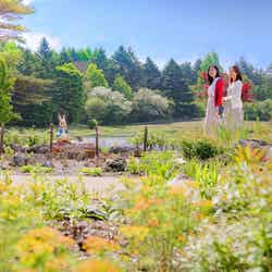 富士本栖湖リゾートには首都圏最大級の英国式庭園「ピーターラビット イングリッシュガーデン」もあり/画像提供:富士急行