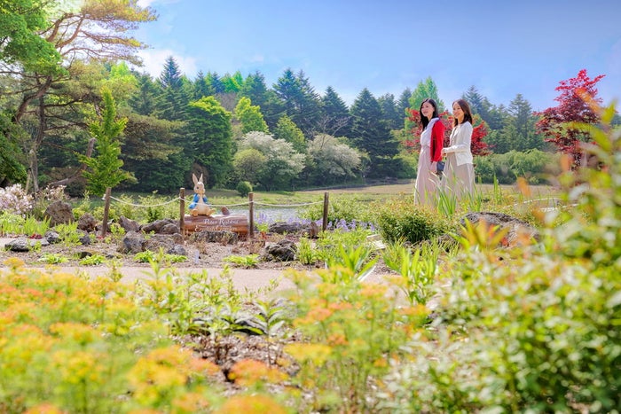 富士本栖湖リゾートには首都圏最大級の英国式庭園「ピーターラビット イングリッシュガーデン」もあり／画像提供：富士急行