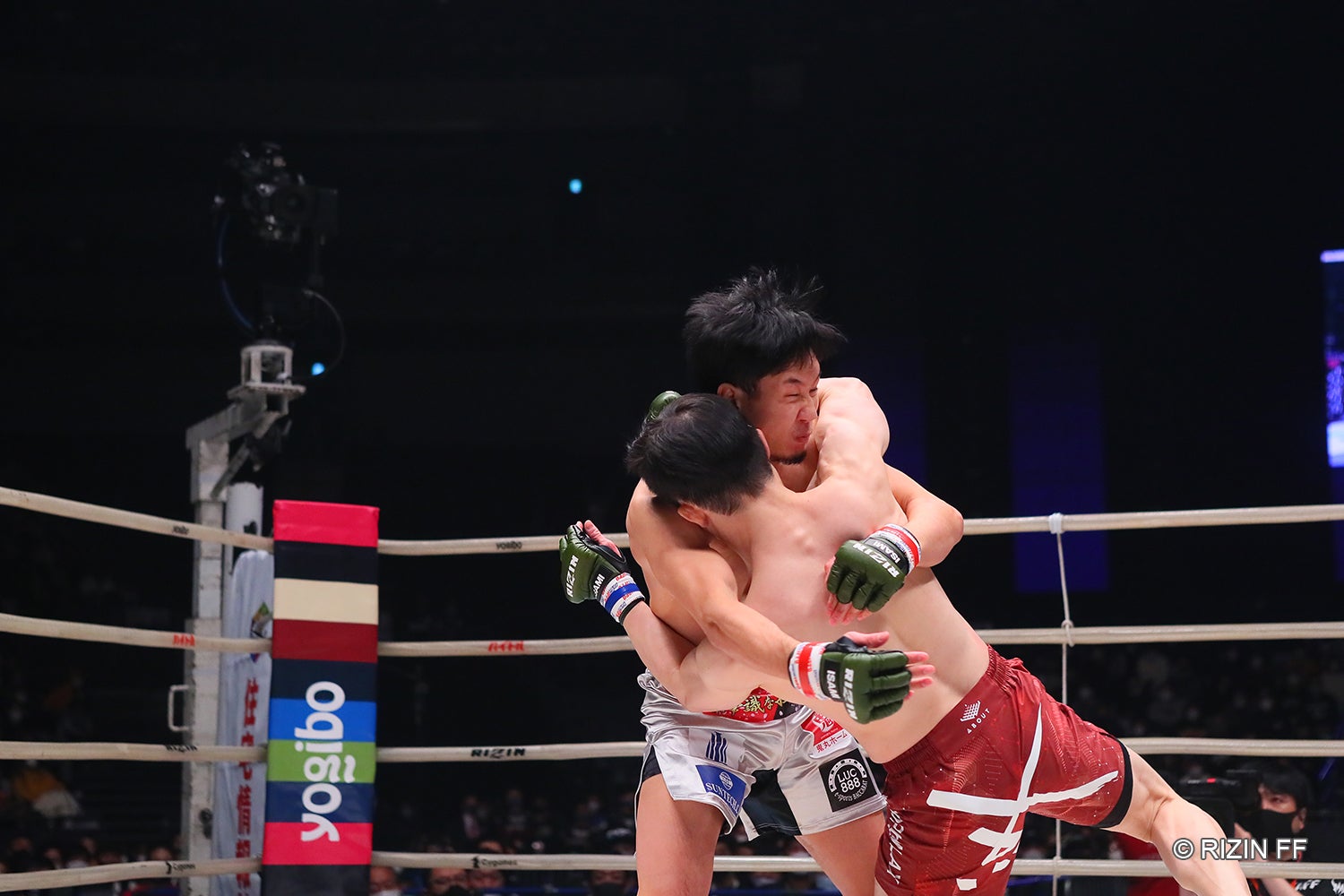 朝倉未来、弥益ドミネーター聡志（C）RIZIN FF