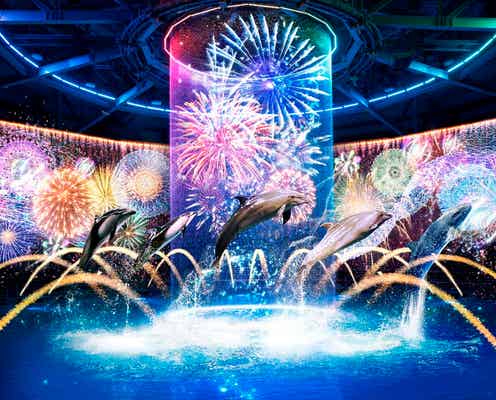 マクセルアクアパーク品川「NAKED 花火アクアリウム」海の世界の花火大会が“縁日”要素加えパワーアップ
