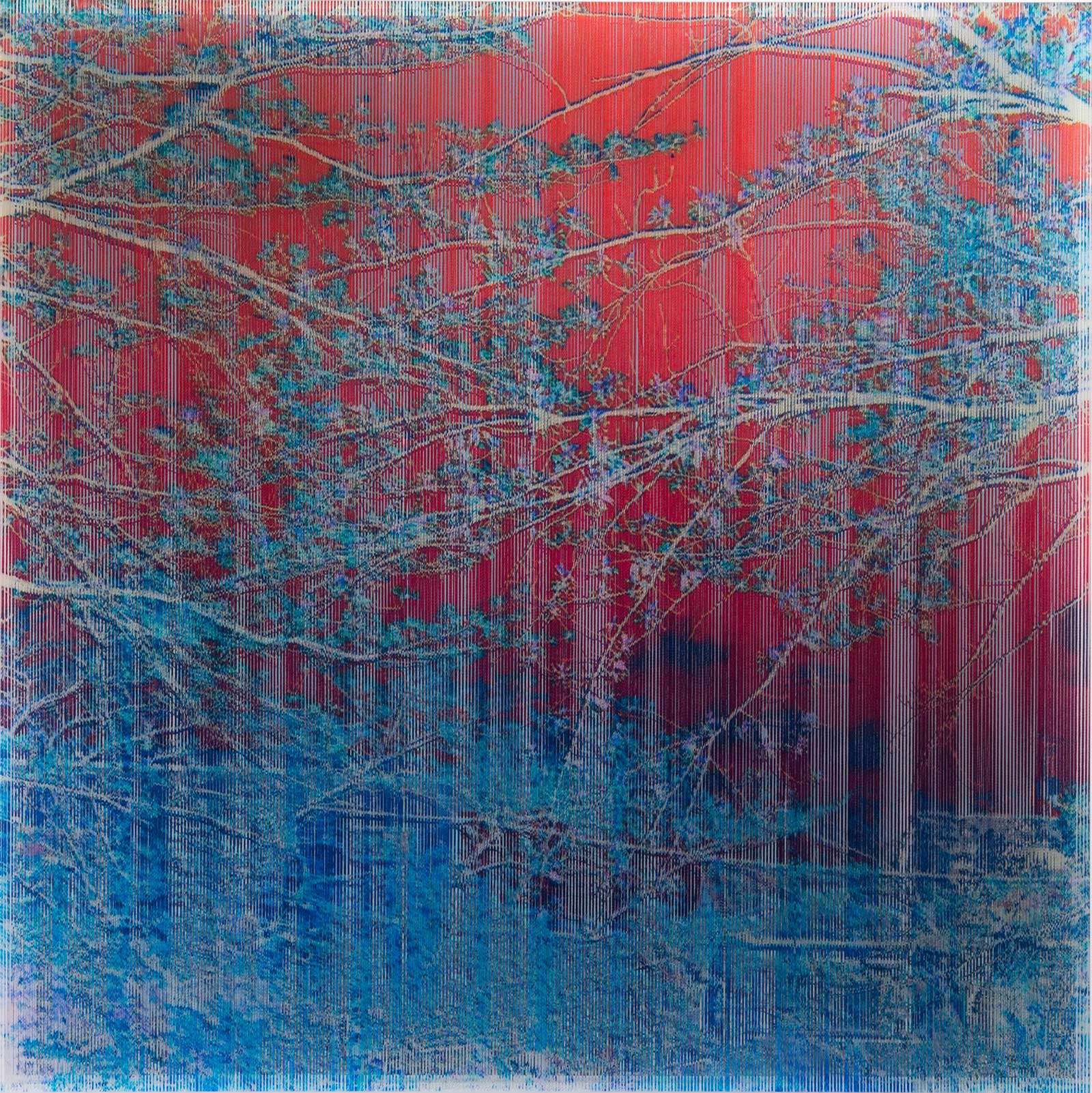 「I：I」≪4月11日 Apr.11≫2016 (C)asamikiyokawa （photo by OMOTE Nobutada）