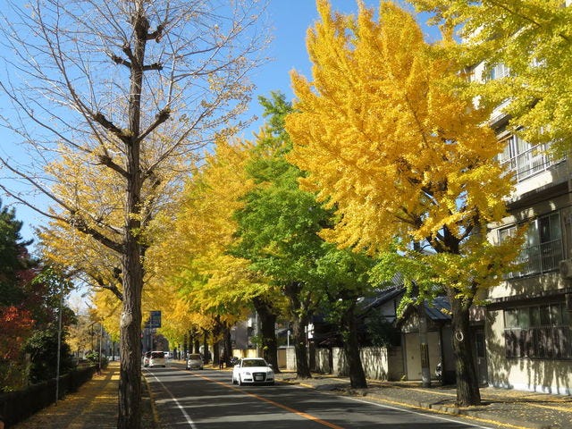 見事な紅葉に感動…♡