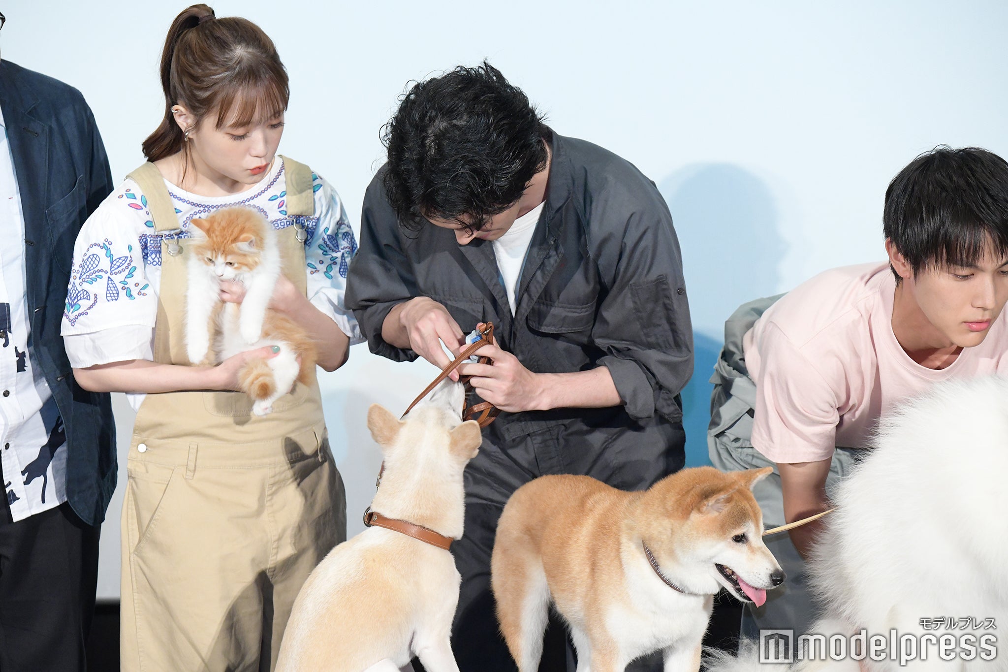 大原櫻子、林遣都、中川大志  （C）モデルプレス