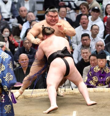 綱とり消滅の安青錦が連敗脱出「自分らしい相撲。明日につなげたい」高安に完勝