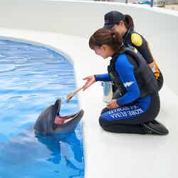 神戸須磨シーワールドホテル/提供画像