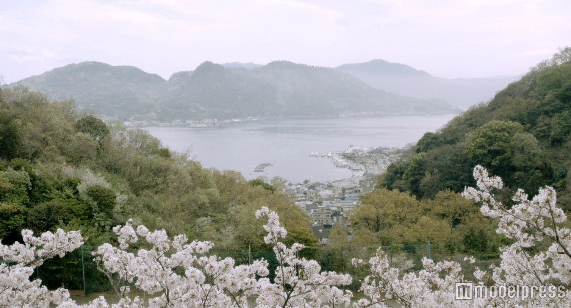 映画「桜ノ雨」より／（C）2015 halyosy、藤田遼、雨宮ひとみ、スタジオ・ハードデラックス／PHP研究所／『桜ノ雨』製作委員会