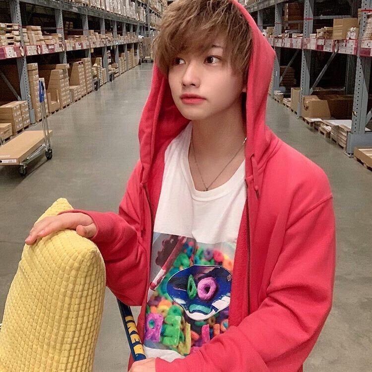 たもん（提供写真）