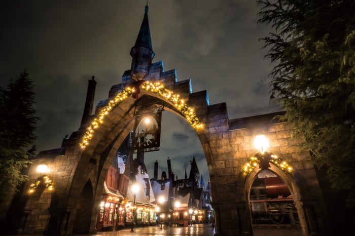 クリスマス装飾が彩られたホグズミード村／HARRY POTTER characters, names and related indicia are （C）＆ TM Warner Bros. Entertainment Inc. Harry Potter Publishing Rights（C）JKR. (s19)