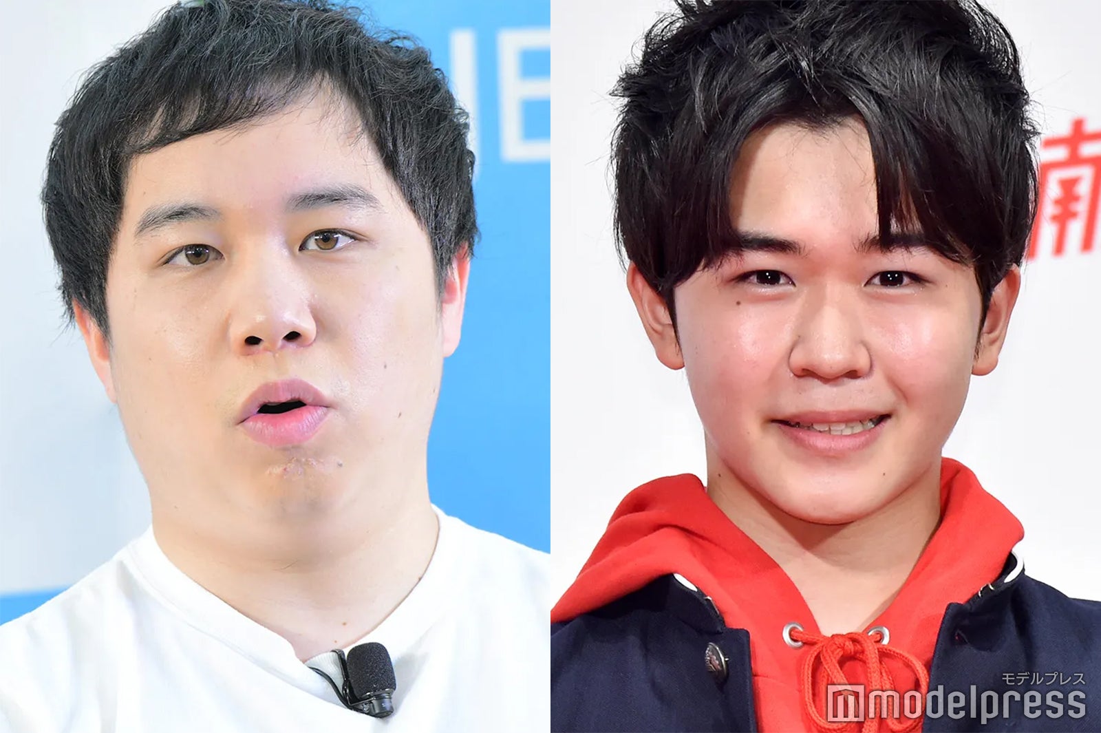 鈴木福、子役時代の“毛量”に霜降り明星・せいやが反応「確かに似てる」「面白すぎ」の声