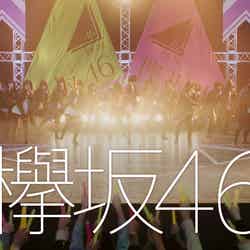 欅坂46が出演するCM（提供画像）