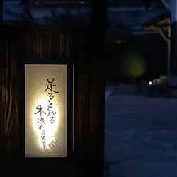 足るを知る木洩れ日る/画像提供:studioKANRO