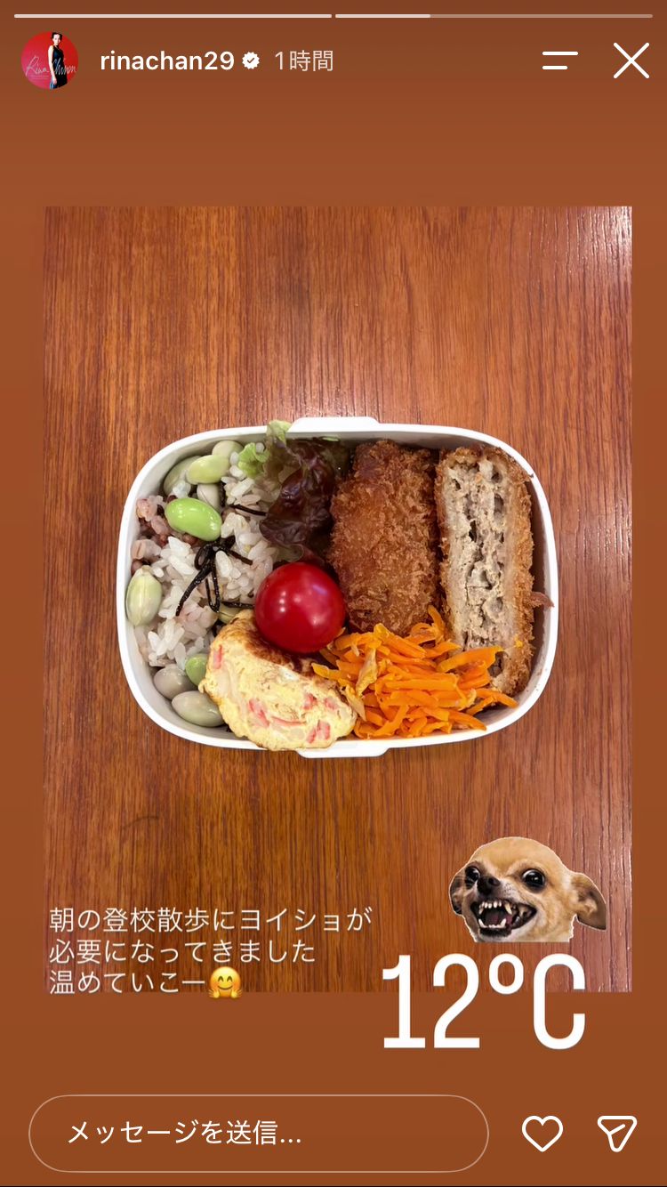 知念里奈Instagramストーリーズより