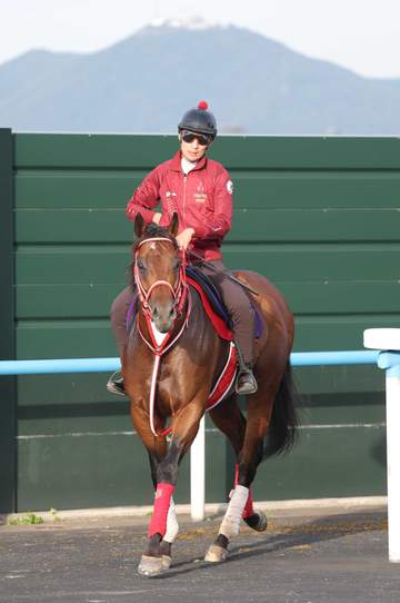 フォーエバーヤング 追い切り内容は二重丸 坂井「いつも通りの競馬ができれば結果はついてくる」