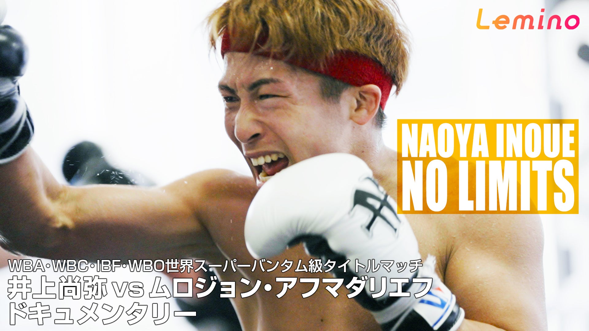 井上尚弥選手密着ドキュメンタリー、Leminoプレミアムで独占配信 限界を超え続ける“覚悟”に迫る