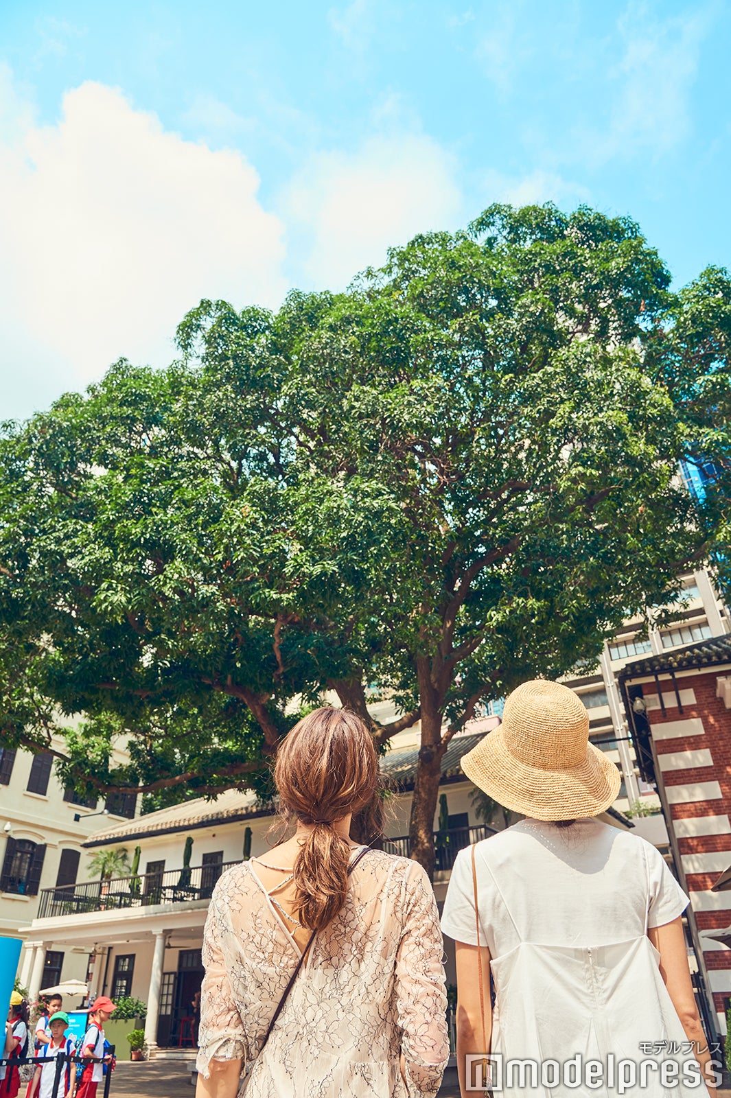 実がたくさんなる年は、昇進する人が増えると同時に、やっかいな事件が起こるという風説があったマンゴーの大木。今では仕事運UPのパワースポットに（C）モデルプレス