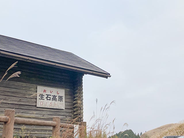 oisikogen