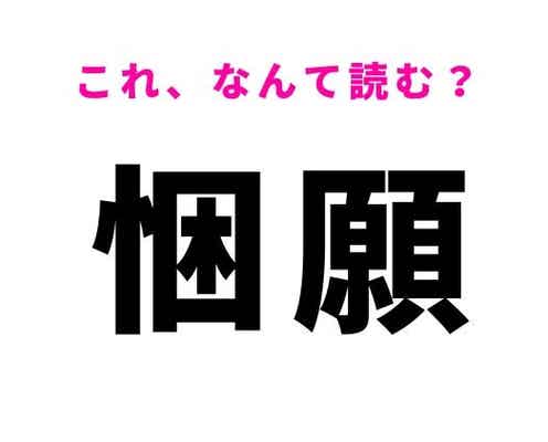【悃願】はなんて読む?ひたすらお願いすることを意味する漢字