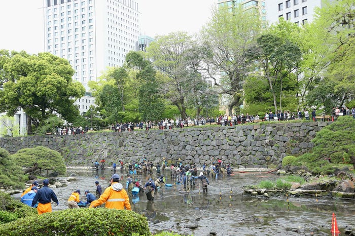 「緊急 SOS!池の水ぜんぶ抜く大作戦」(C)テレビ東京