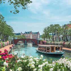 100万本のバラ祭/提供画像