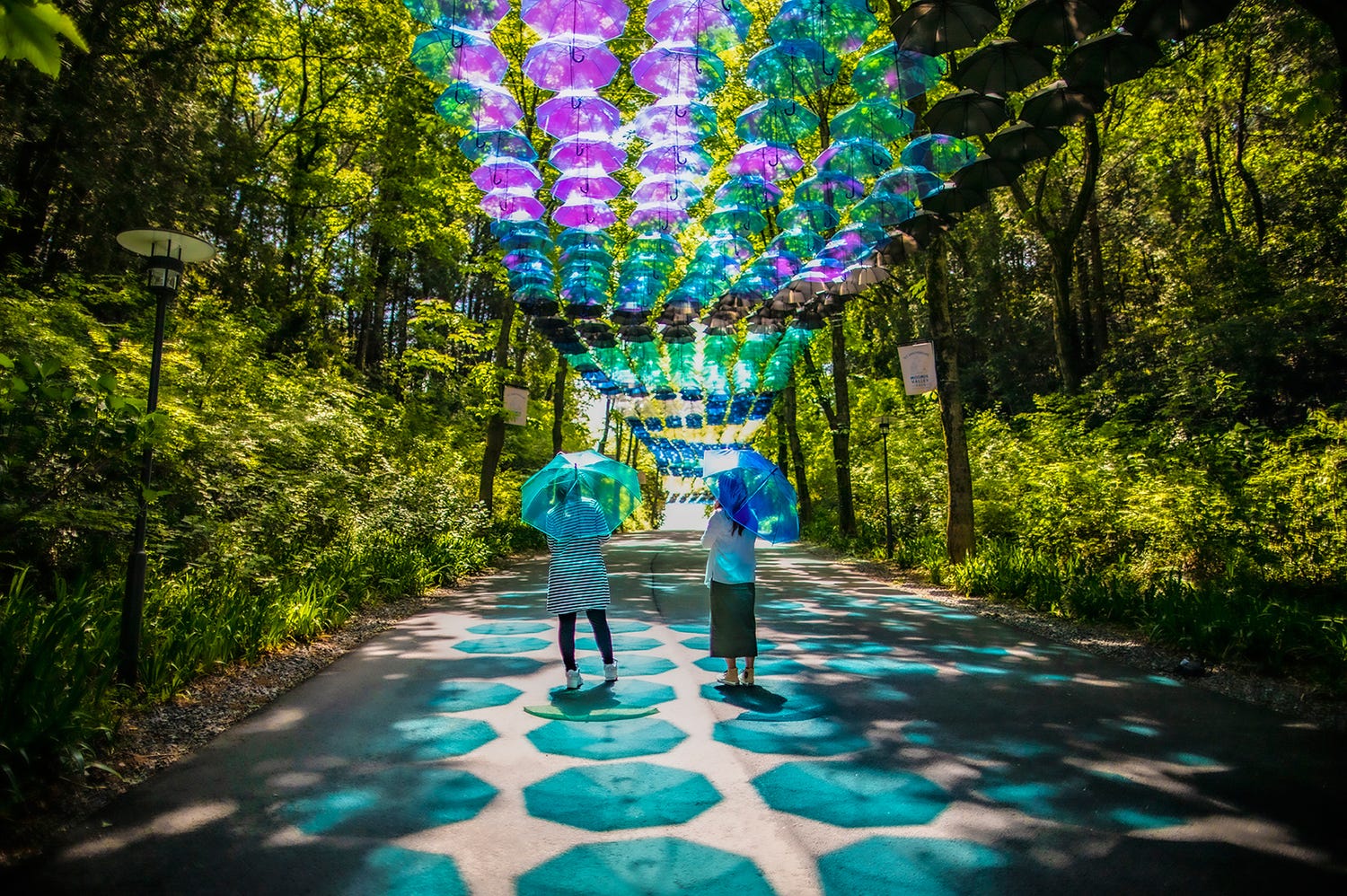 埼玉メッツァで「アンブレラスカイ」カラフルな傘約2,000本で夏空彩る