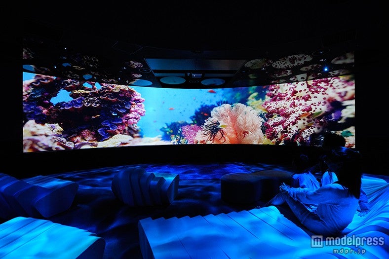 深度0メートルから徐々に潜水し、深度10，994メートルまでを海中散歩「ブルーレイヤー」