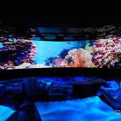 深度0メートルから徐々に潜水し、深度10,994メートルまでを海中散歩「ブルーレイヤー」