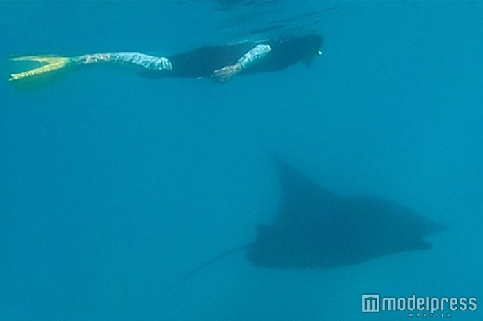 藤原竜也 オーストラリアの世界遺産を体感 海の巨大生物とも遭遇 女子旅プレス