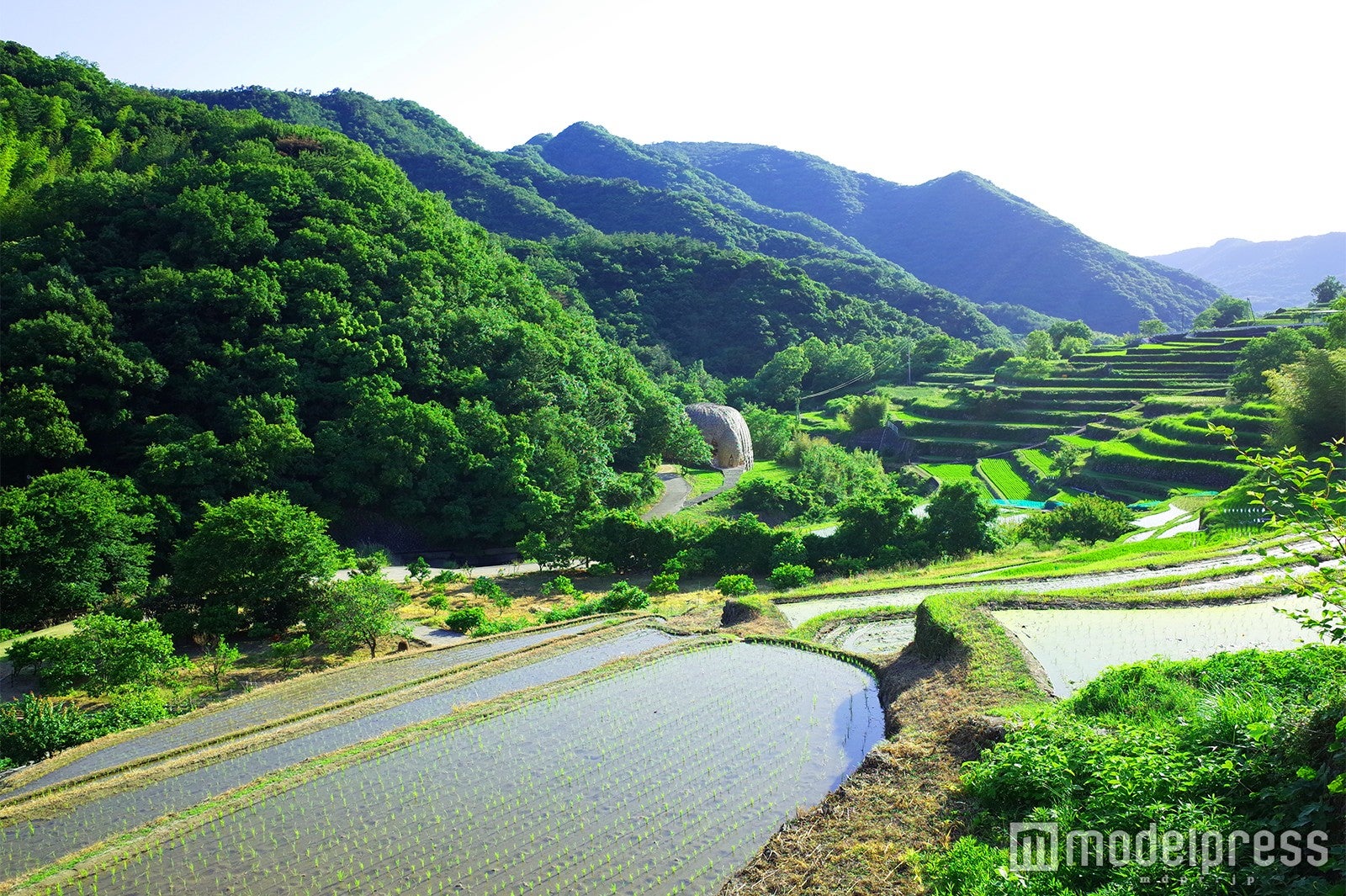 中山の棚田（C）モデルプレス
