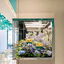 Blue Box Cafe by Natsuko Shoji/提供画像