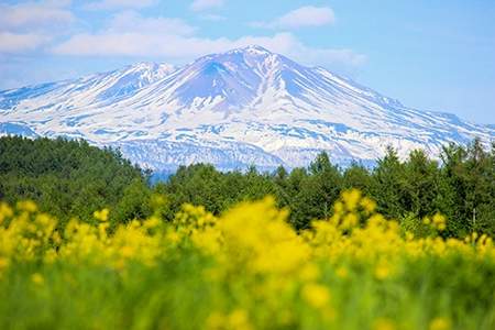 「北海道」