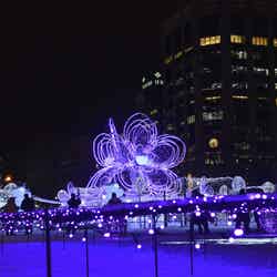 さっぽろホワイトイルミネーション/提供画像