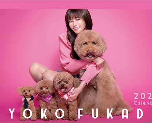 深田恭子、犬と撮影で普段と異なる表情 撮り下ろしカレンダー決定