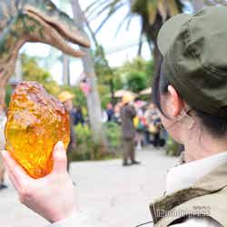 琥珀(C)モデルプレス