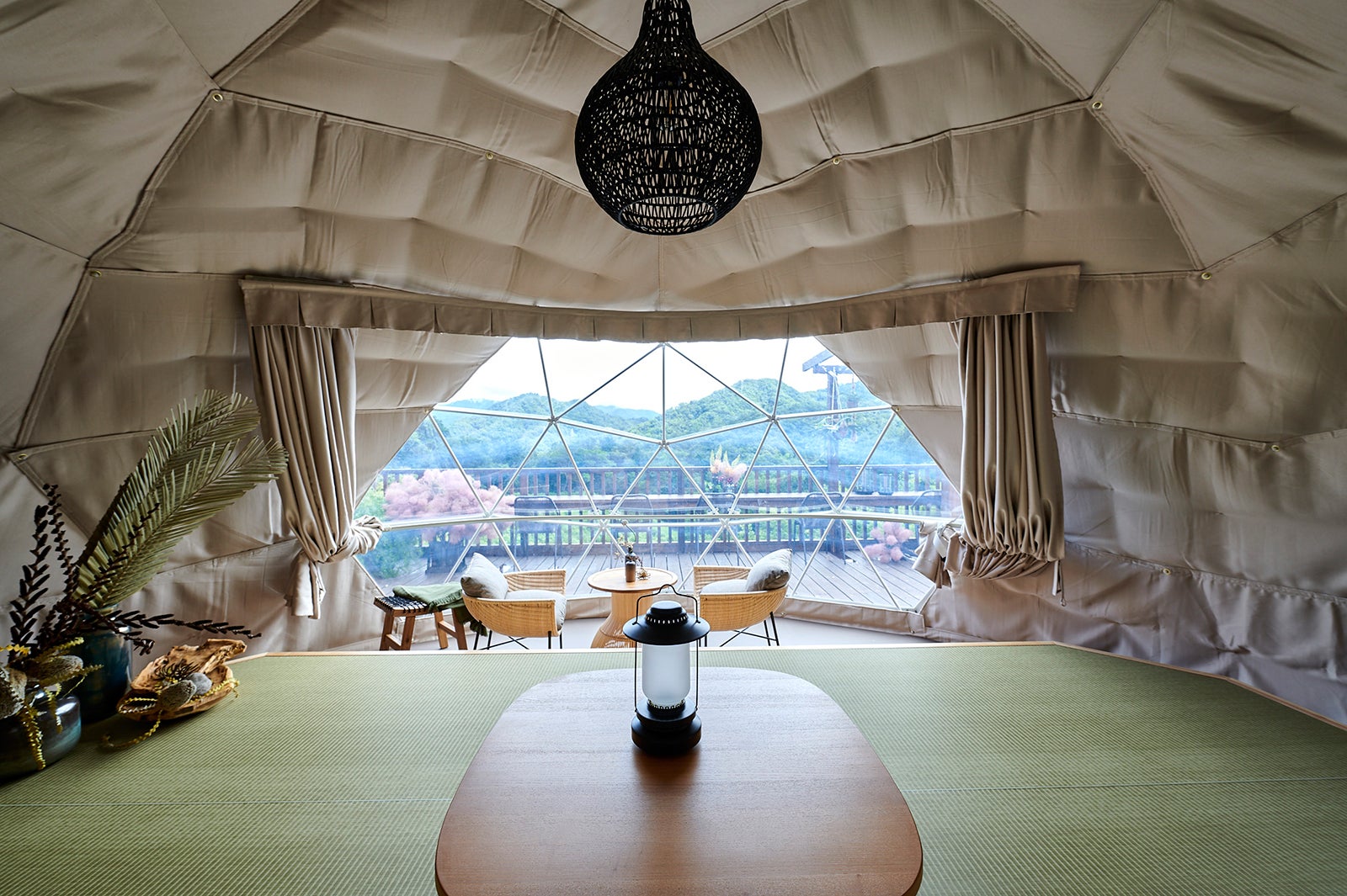 RURI （ルリ）／画像提供：日比谷花壇