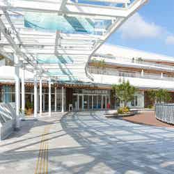 「テラスモール湘南」初の大規模リニューアル エリア初出店含む117店舗が一新/画像提供:テラスモール湘南