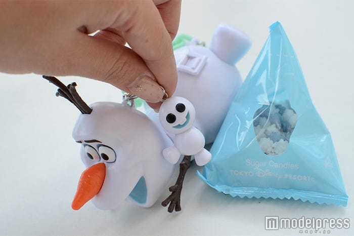 ミニスナックケースにもスノーギースが(C)モデルプレス