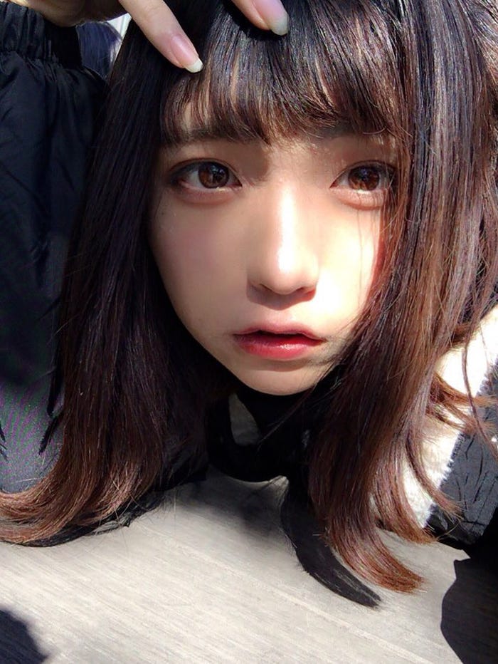 ぎんしゃむ(提供写真)