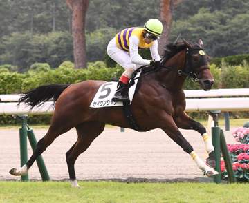 【新馬戦】セイウンシャラ 驚き逃走デビューV 吉田豊が期待「これから良くなる」 闘病中オーナーへ「いい報告ができそう」