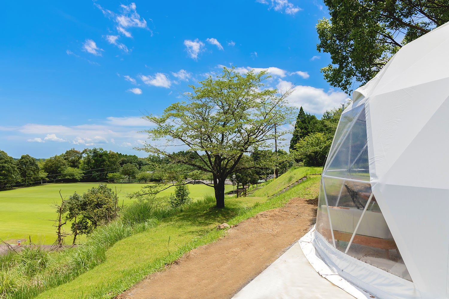 ほけだけグランピング～和泉の毬花～／提供画像