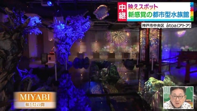 【もういった？】日本最大級の水槽!? 神戸に「劇場型水族館」がオープン♡