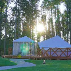 マザー牧場 グランピング THE FARM (提供画像)