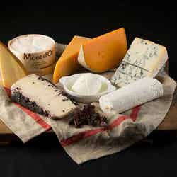 チーズ/画像提供:株式会社MYU