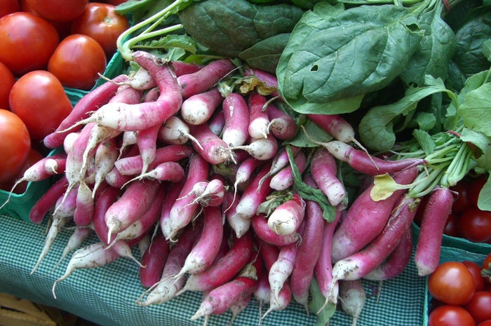 鎌倉ならではの“鎌倉野菜”も使用／画像提供：くらつぐ