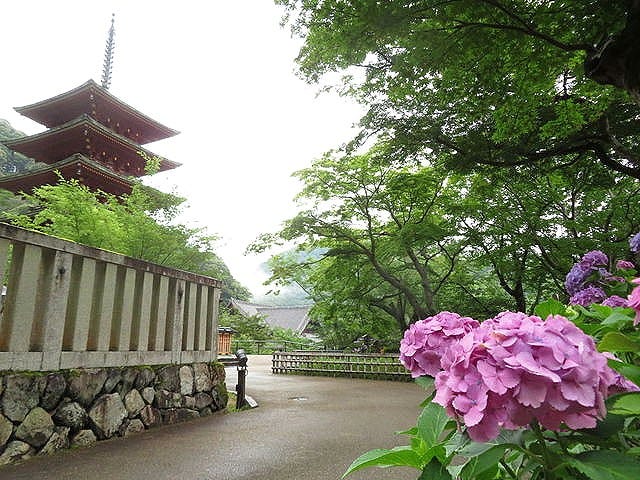 長谷寺