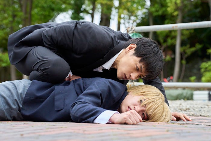 細田善彦、西畑大吾(C)田島隆・マサシ(秋田書店)/「マトリと狂犬」製作委員会・MBS