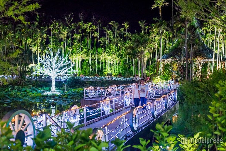 光の楽園で過ごすロマンティックなひととき　沖縄に“ボタニカルイルミ”が誕生