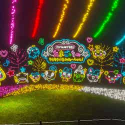 みんなしゅ~ご~!キラキラいるみね~しょん(提供写真)